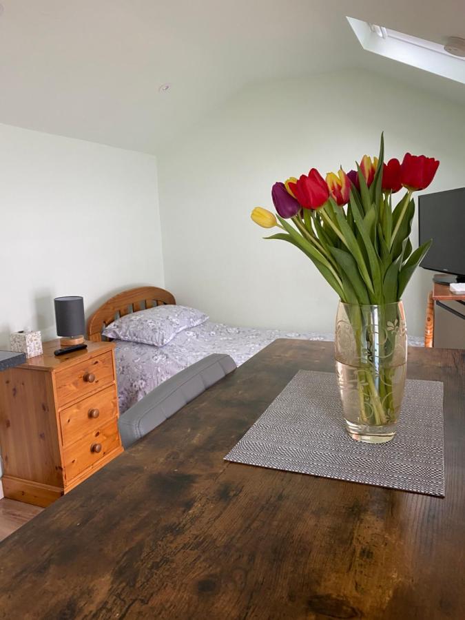 Cosy 1 Bed Garden Annexe Lägenhet Colchester Exteriör bild